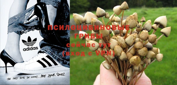 a pvp Арсеньев